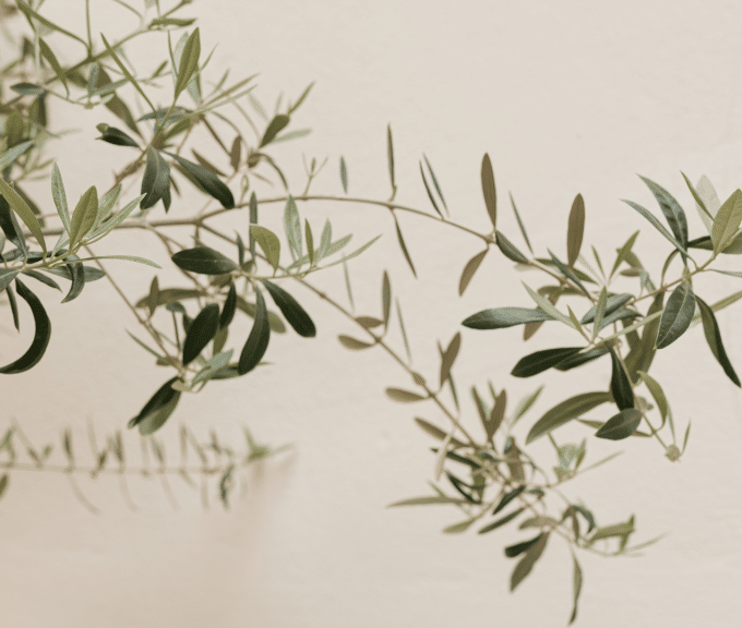 Untitled-design-52-1024x576